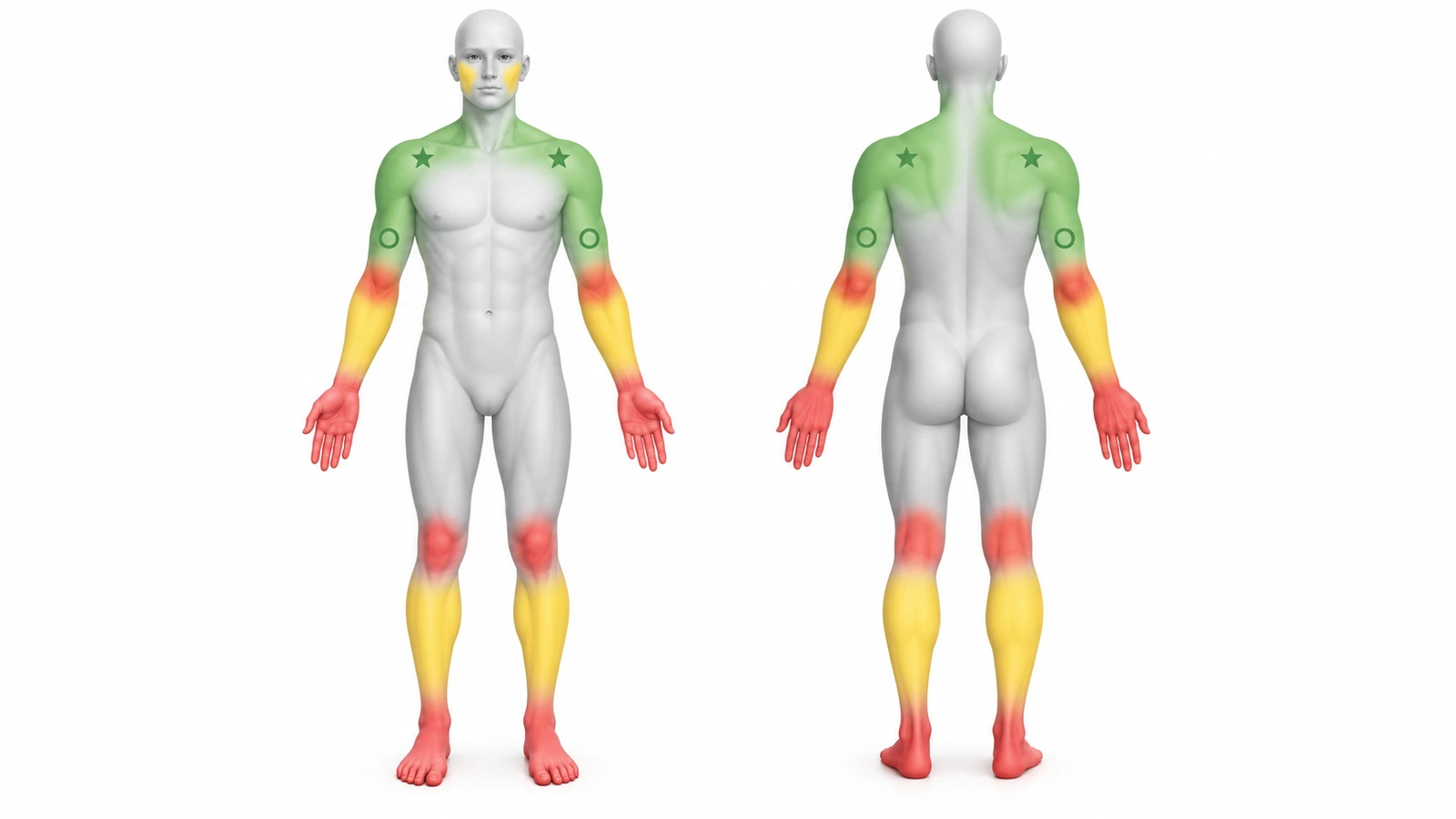 앞면과 뒷면 신체 실루엣: 어깨, 등 윗부분, 팔 안쪽은 초록색, 팔 바깥쪽과 종아리는 노란색, 손, 손가락, 손목, 팔꿈치, 무릎, 발은 빨간색으로 표시